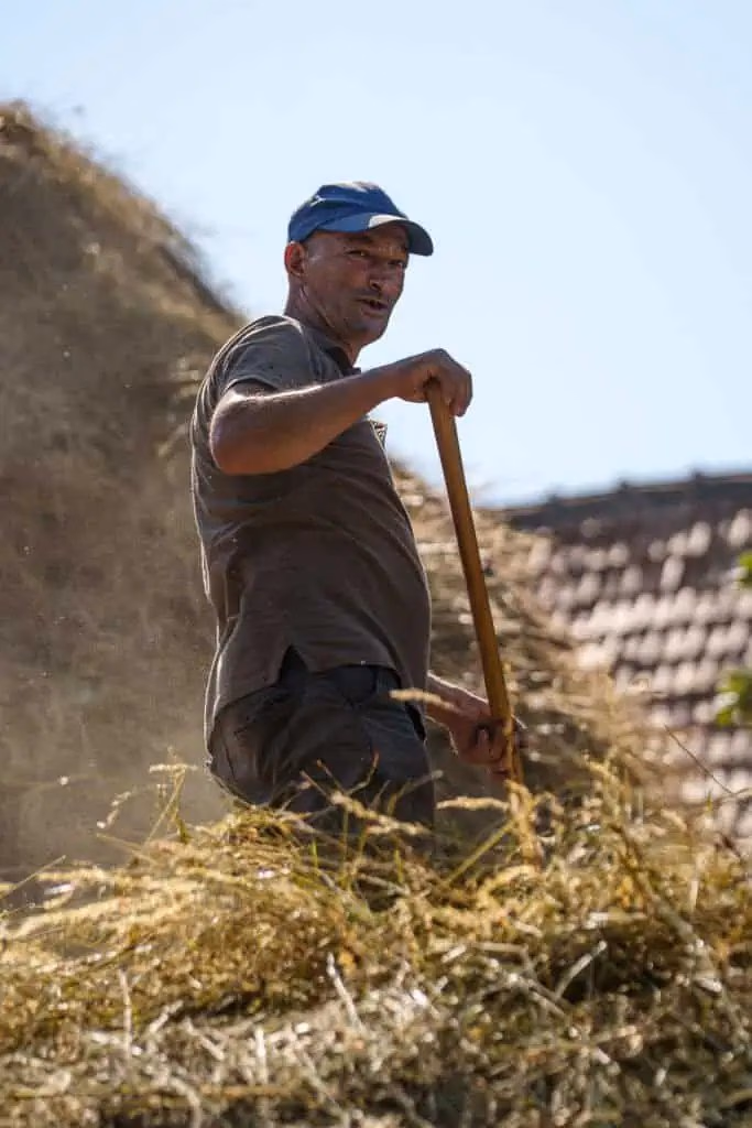 Campesino rumano en su entorno natural en los Cárpatos – fotografía documental (derecha)