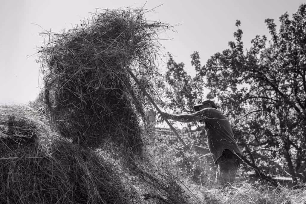 Campesino de montaña en los Cárpatos rumanos durante la cosecha de heno – fotografía documental