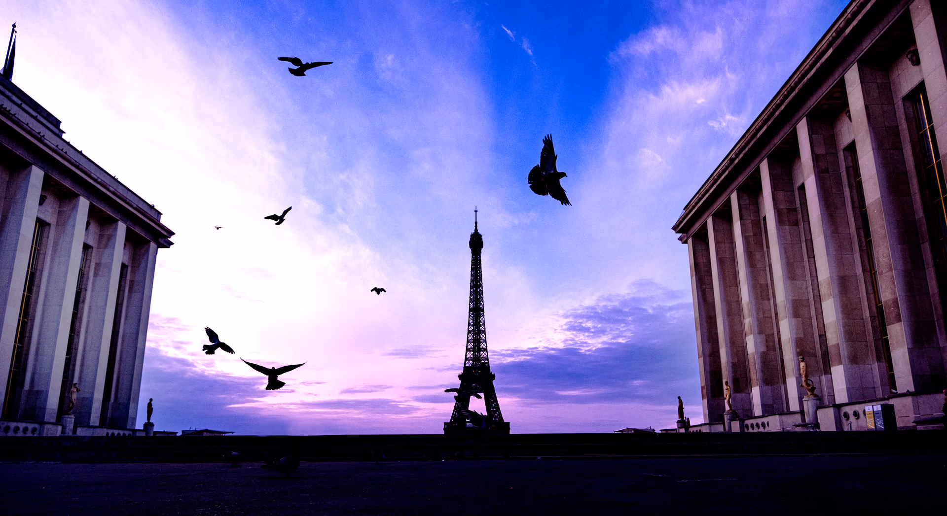 Torre Eiffel al amanecer con pájaros volando entre edificios clásicos de París — Fujifilm X-E4 con simulación Velvia