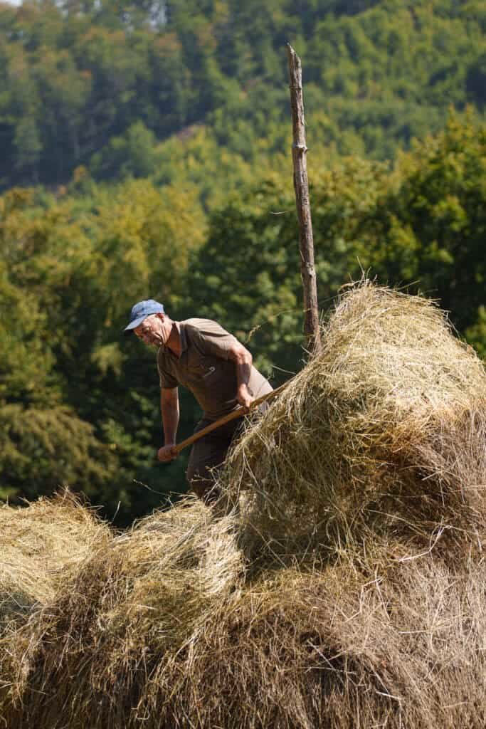 Retrato de campesino rumano en los Cárpatos – fotografía documental auténtica