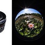 El objetivo Laowa 4.5-10mm f/2.8 Fisheye Zoom y su toma de un estanque con nenúfares.