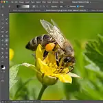 PhotoCraft y LightCraft: alternativas de código abierto a Photoshop y Lightroom