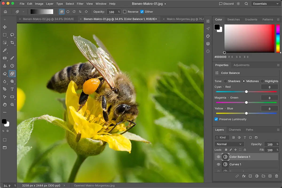 PhotoCraft y LightCraft: alternativas de código abierto a Photoshop y Lightroom