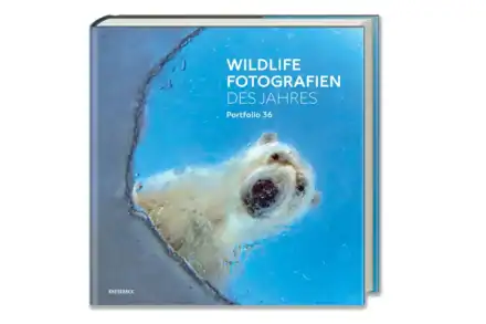 Wildlife Photographer of the Year 2026: Una imagen que te llega al alma