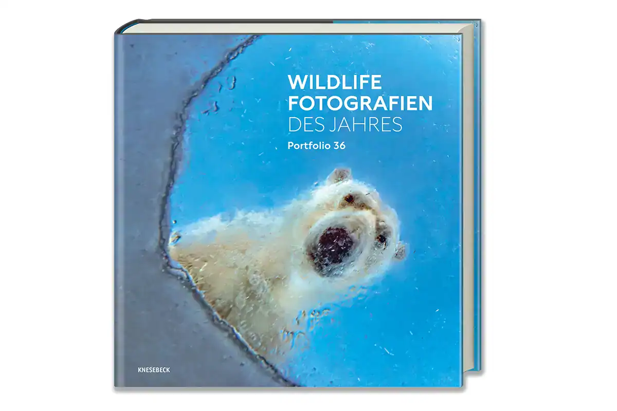 Wildlife Photographer of the Year 2026: Una imagen que te llega al alma